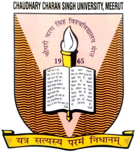 ccsu logo
